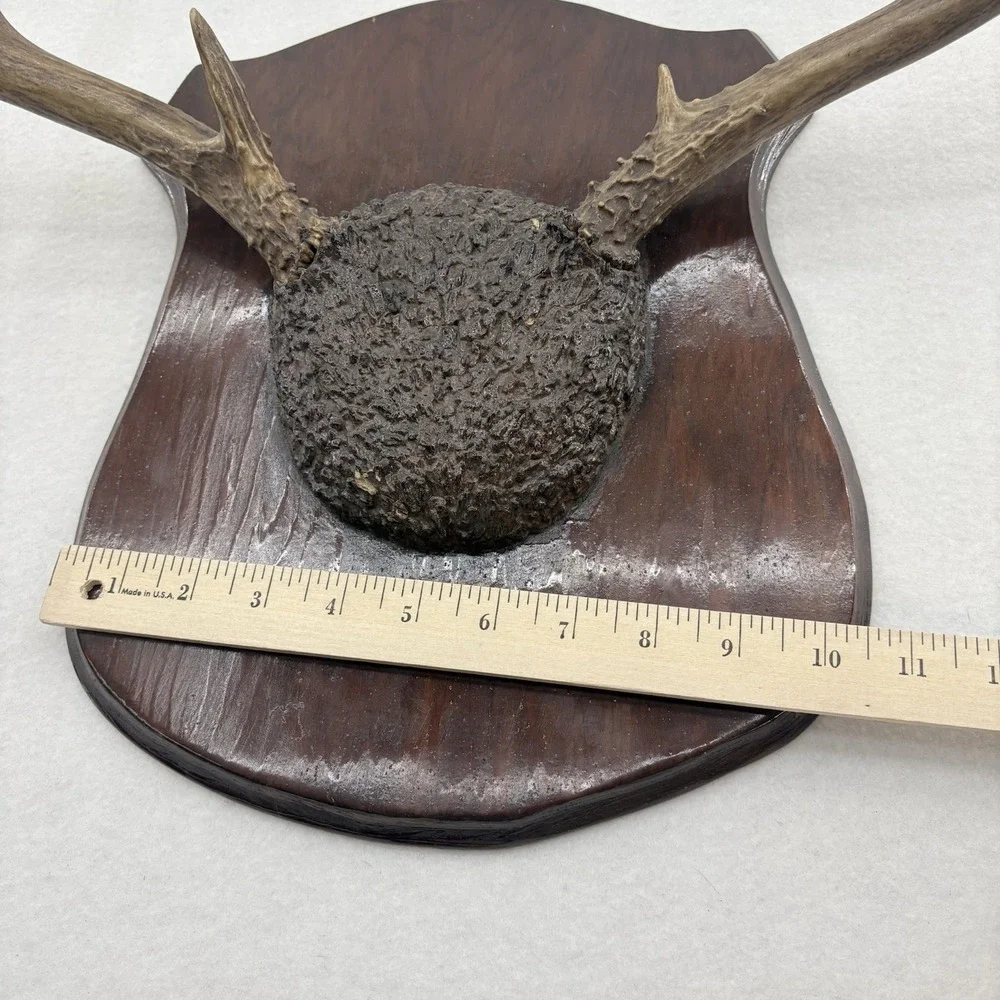 N/A rustic deer